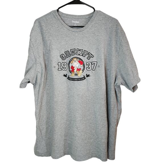 Disneyland Tee XXL Grumpy Embroidered T-Shirt Gray Seven Dwarves Snow White 2XL - Picture 1 of 9